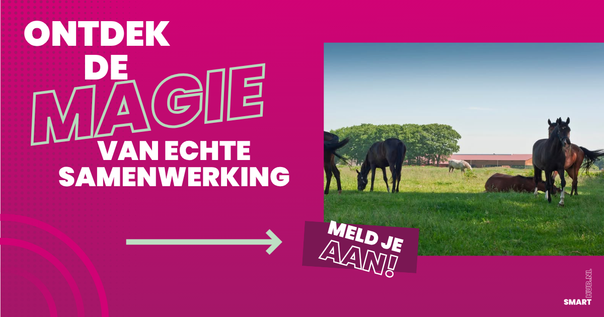 Ontdek de MAGIE van echte samenwerking - SmartHub